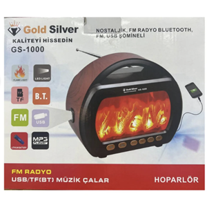 GOLD SİLVER GS-1000 ŞÖMİNELİ RADYO